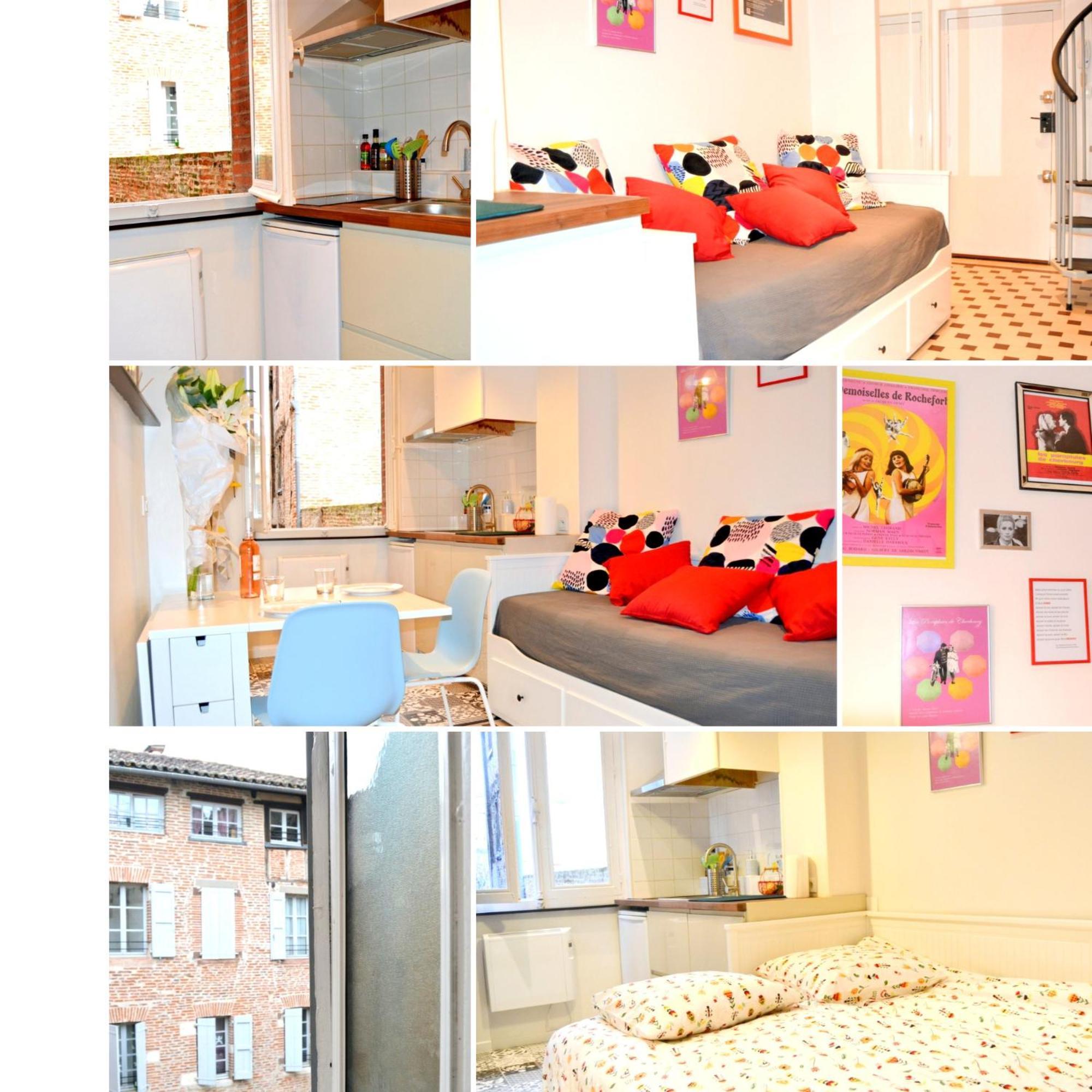 Apartment Un Jour D'Ete A Albi - Centre Unesco - 200 M Cathedrale - Parking - Animaux Acceptes